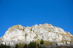 MG_3815