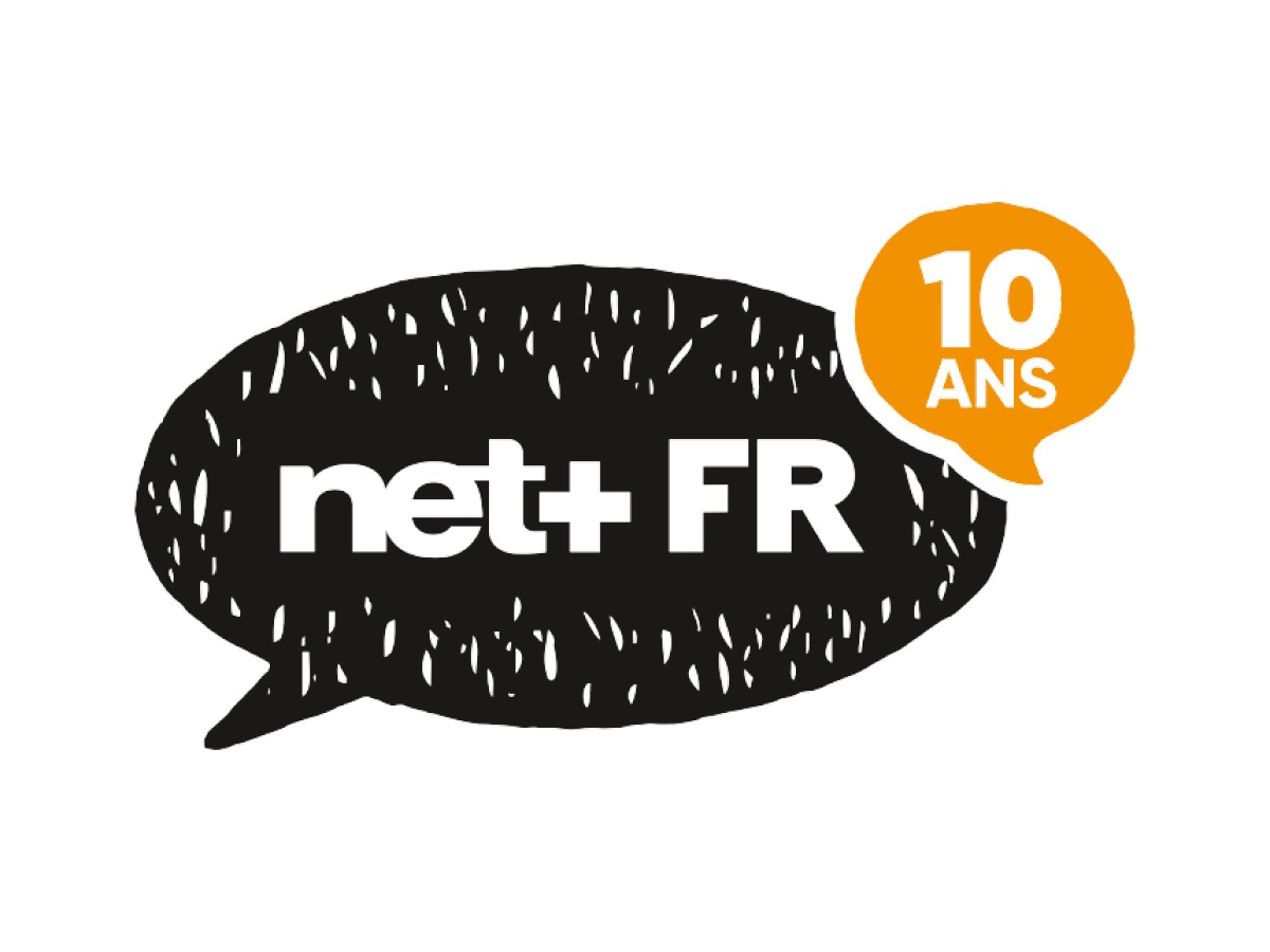 Logo-argent-netplus